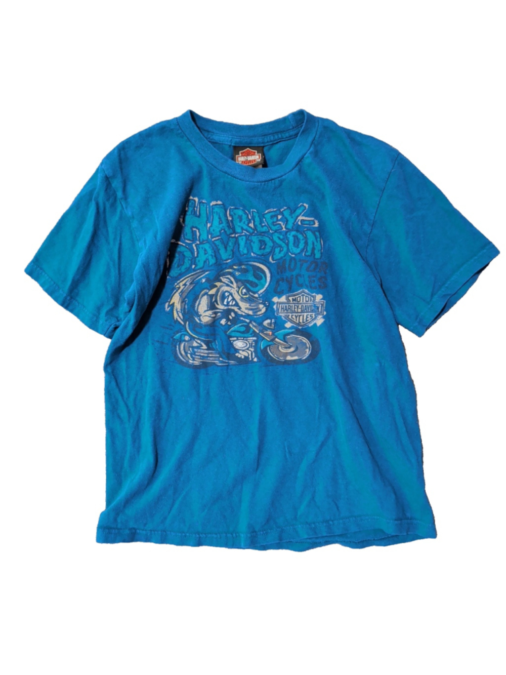 Harley Davidson Boys Youth Large T-Shirt Tee Kingston Ontario Blue Cartoon Wolf
